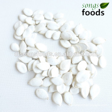 Hot Sell And Best Value Snow White Pumpkin Seeds from China